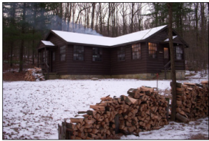 Tuckahoe-Cedar-in-snow-with-frame