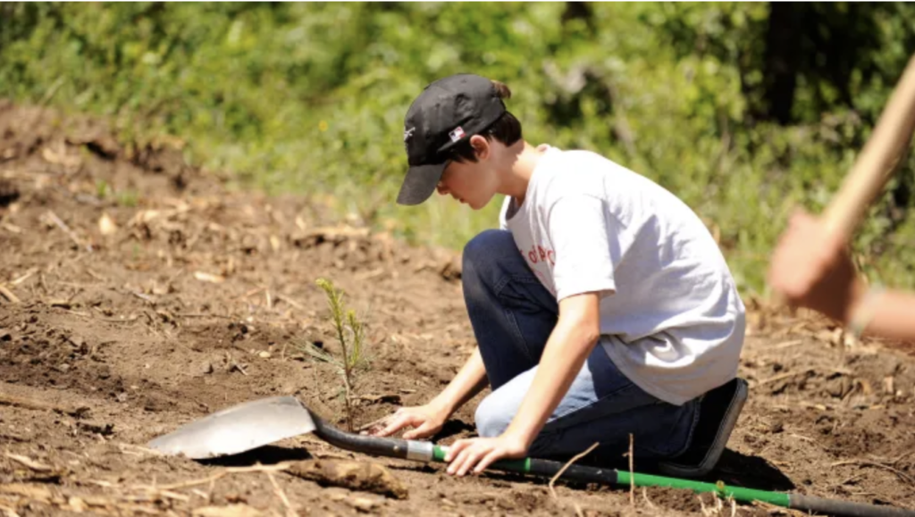 Scouts Can Receive the BSA’s Highest Honor for Conservation and ...