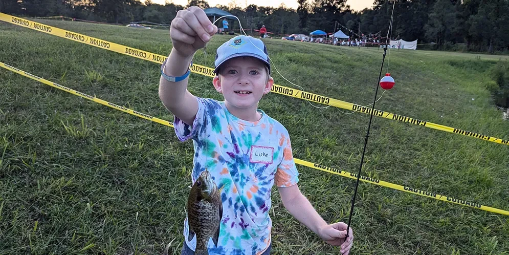 cub-adventure-camp-995x498