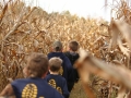 1st Cub Scout Corn Maze